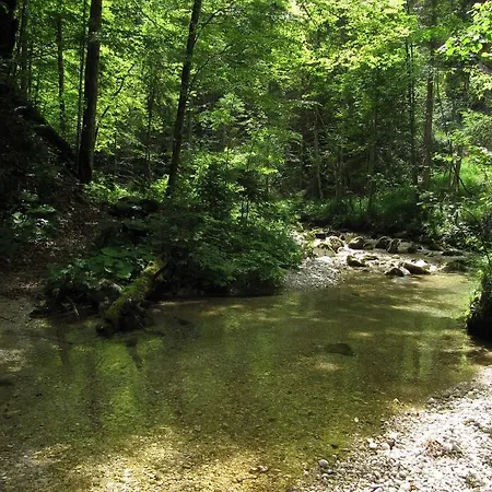 Buchauer-tirol 아파트호텔 티어제