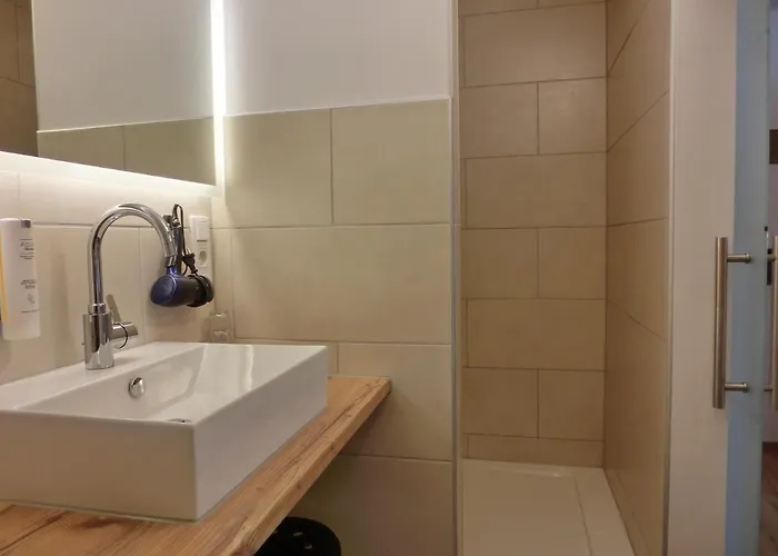 شقة فندقية Buchauer-tirol 4*