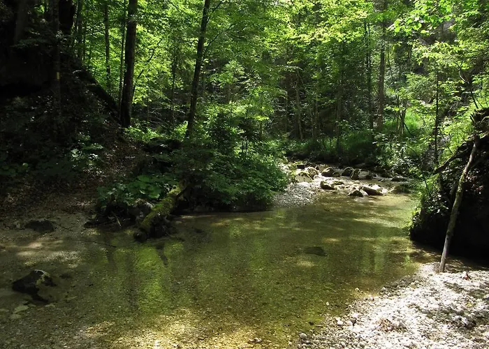 Buchauer-tirol شقة فندقية تيرسي