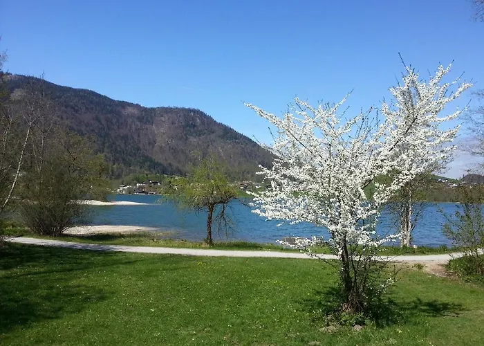 Buchauer-tirol شقة فندقية 4*