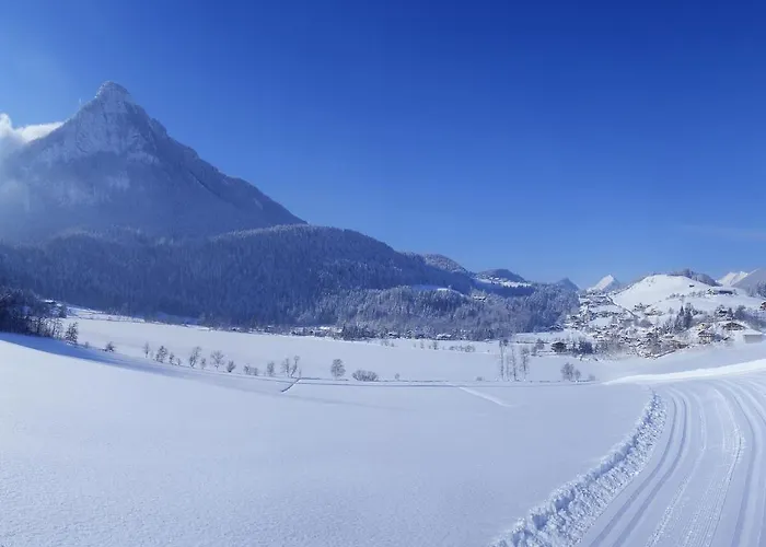 شقة فندقية Buchauer-tirol تيرسي